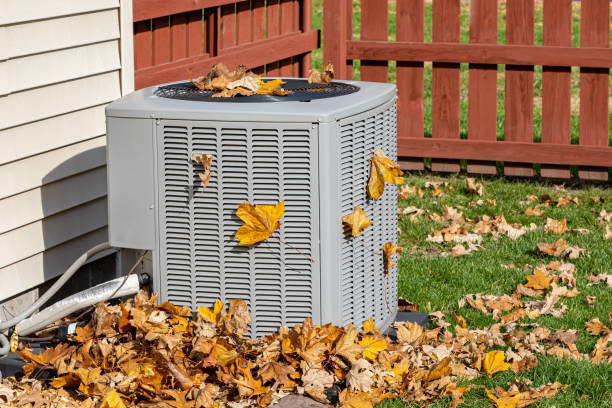 Best HVAC tune-up services  in Lakeland South, WA